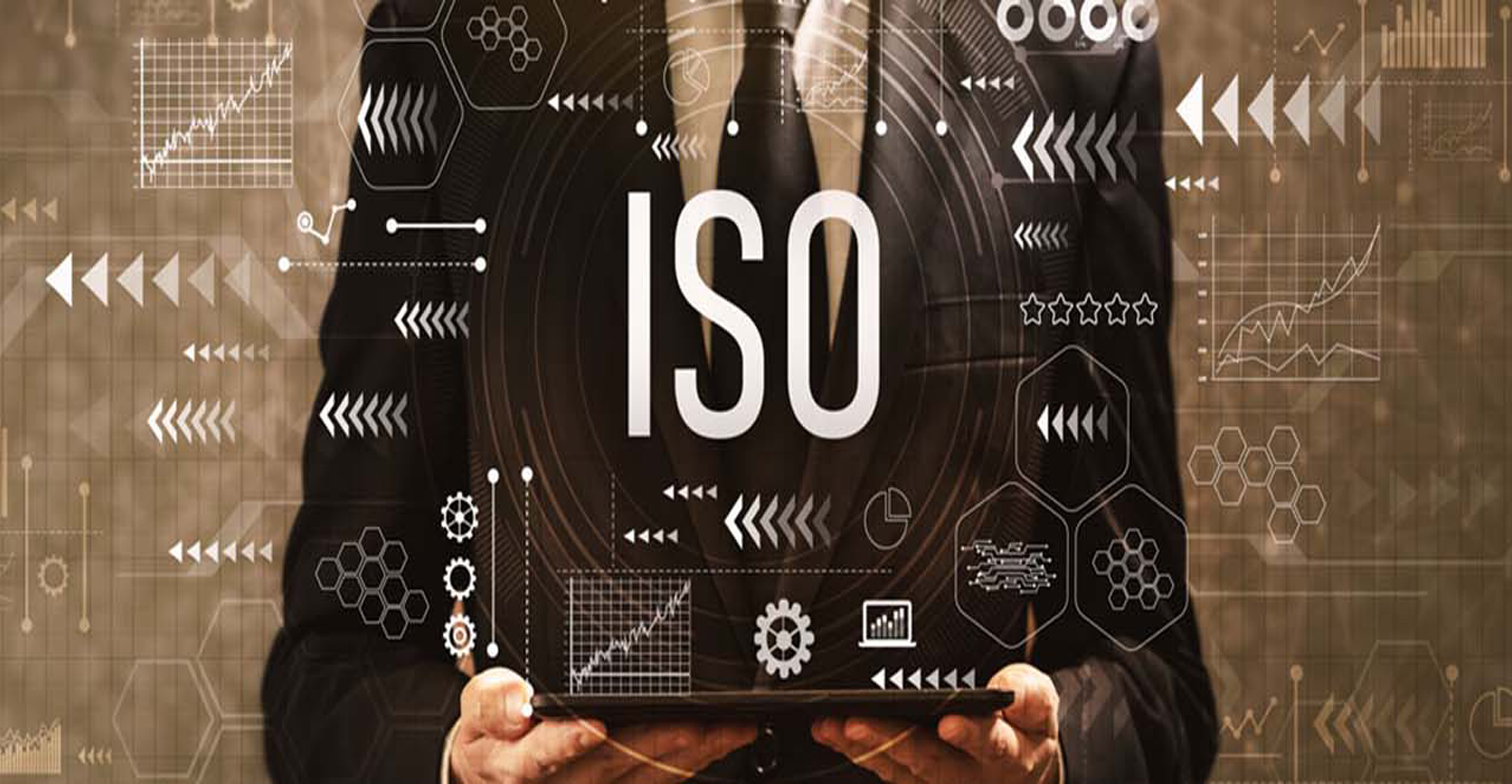 ISO Consultation Service